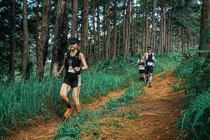 BIB: 
                            <button type="button" onclick="openModal(25750077)" class="btn btn-primary btn-sm float-right btn-popup" data-toggle="modal" data-target=".modal-high-quality">
                        <i class="fas fa-shopping-cart"></i> Add to Cart
                    </button>
                                            <button type="button" onclick="isThisMe(25750077, true)" class="btn btn-success btn-sm float-right btn-popup btn-isme hidden" data-toggle="tooltip" data-placement="bottom" title="นี่คือรูปของคุณใช่ไหม คลิกที่นี่เพื่อเอาเข้าอัลบั้ม">
                        <i class="fas fa-plus"></i> Add to album
                    </button>
                    <button type="button" onclick="isThisMe(25750077, false)" class="btn btn-warning btn-sm float-right btn-popup btn-isnotme hidden">
                        <i class="fas fa-ban"></i> Remove from album
                    </button>